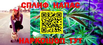 шишки Малоярославец